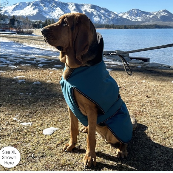 PetRageous Designs Juneau Insulated Dog Jacket, Teal, Medium - Picture 3 of 10